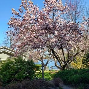 Meet your Posher, Peggy